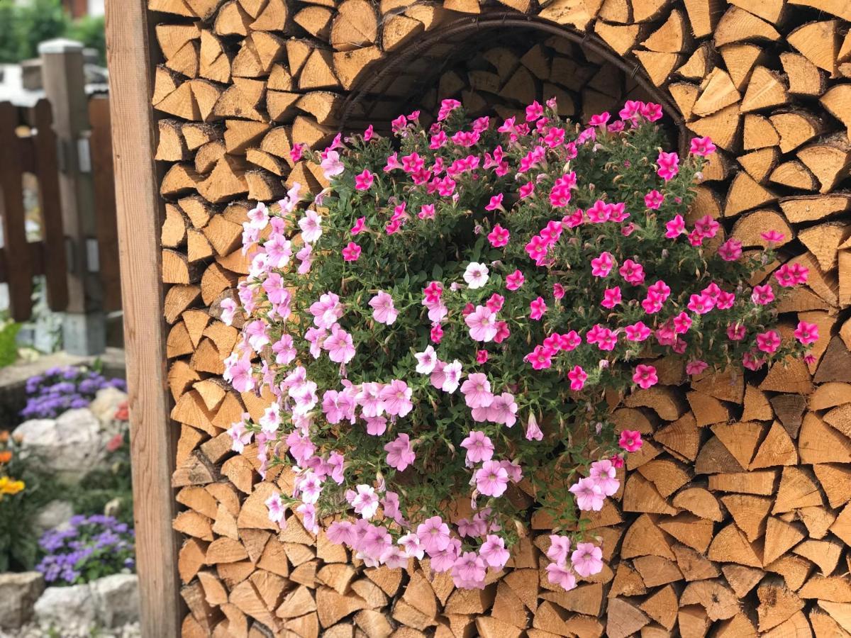 Appartamento al Tabià Pizal Santo Stefano Di Cadore Extérieur photo