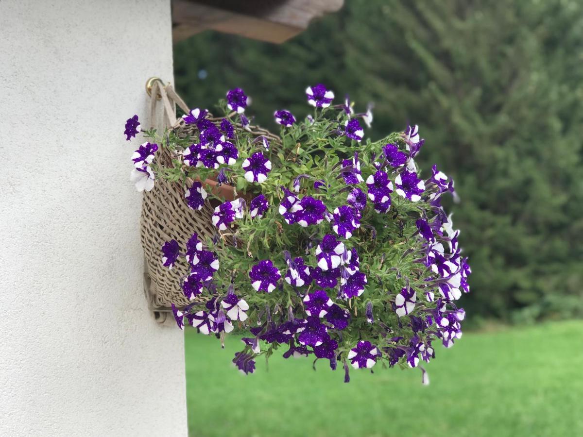 Appartamento al Tabià Pizal Santo Stefano Di Cadore Extérieur photo