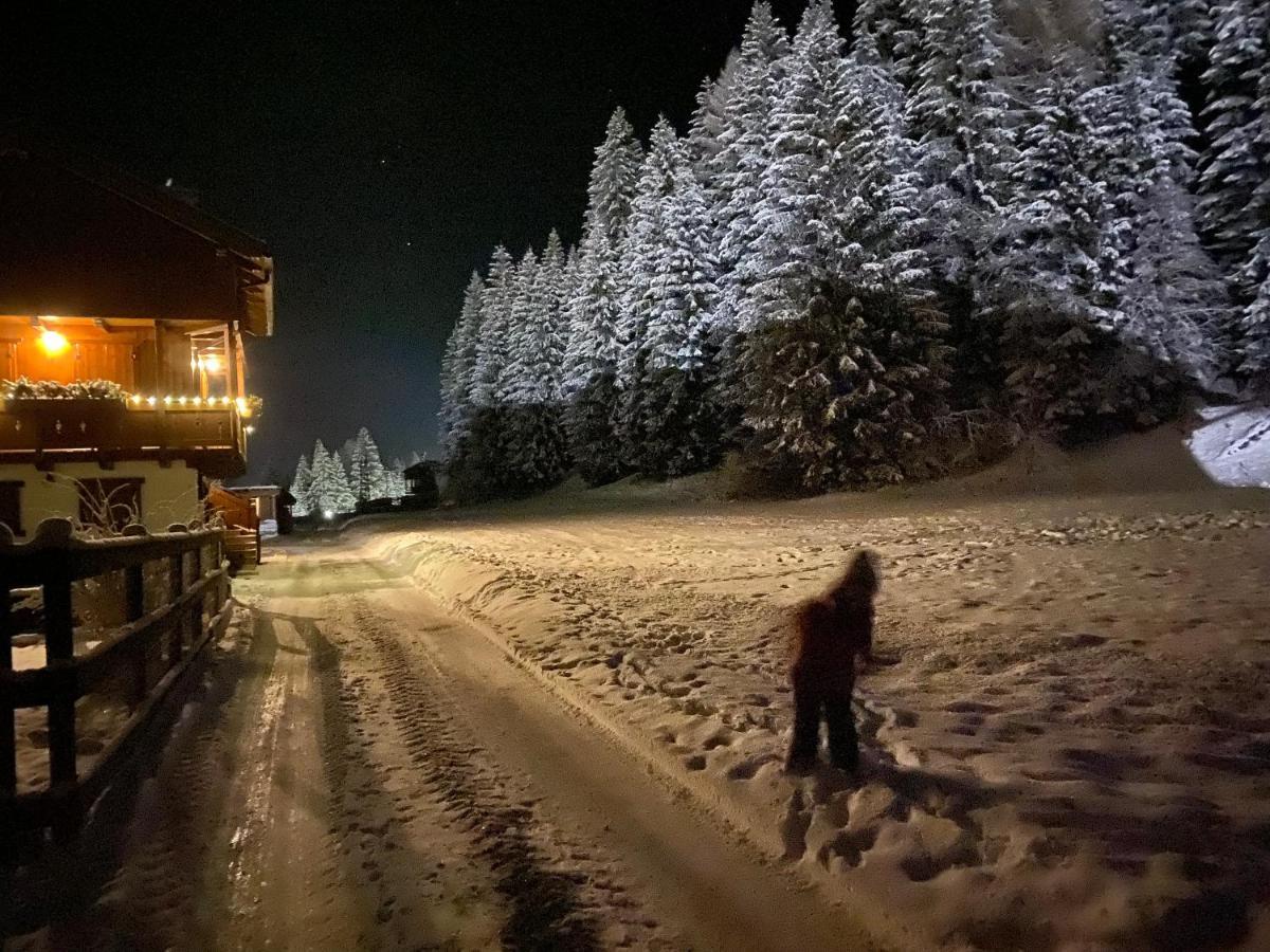 Appartamento al Tabià Pizal Santo Stefano Di Cadore Extérieur photo